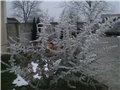stara godina